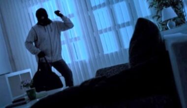 La victime a été alertée par la vidéo surveillance de son pavillon de la présence d