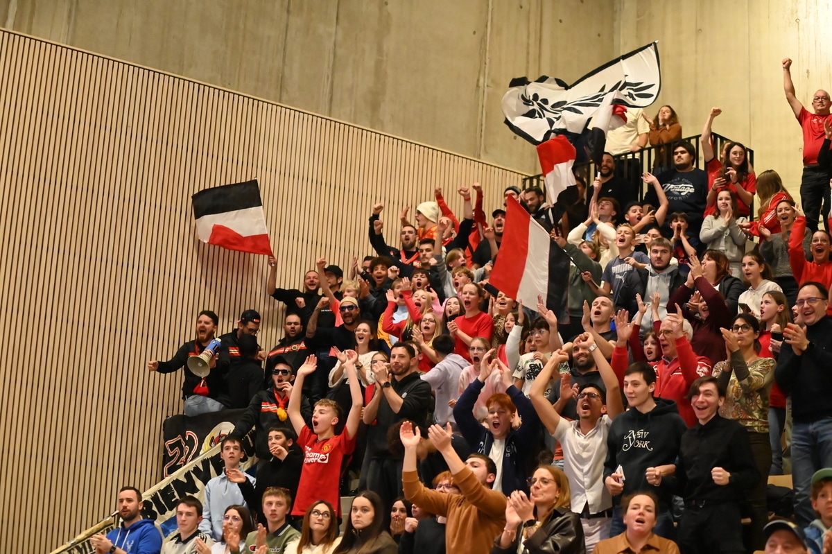 Les supporters du Chaumont VB 52 Haute-Marne à Palestra.
