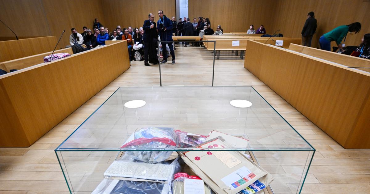 la mère de famille empoisonneuse condamnée à 30 ans de réclusion criminelle