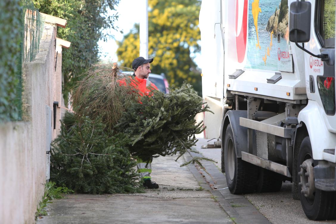 Où déposer son sapin de Noël après les fêtes dans l’aire toulonnaise ?