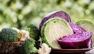 pourquoi les choux, brocolis ou radis pourraient rendre plus efficaces les immunothérapies