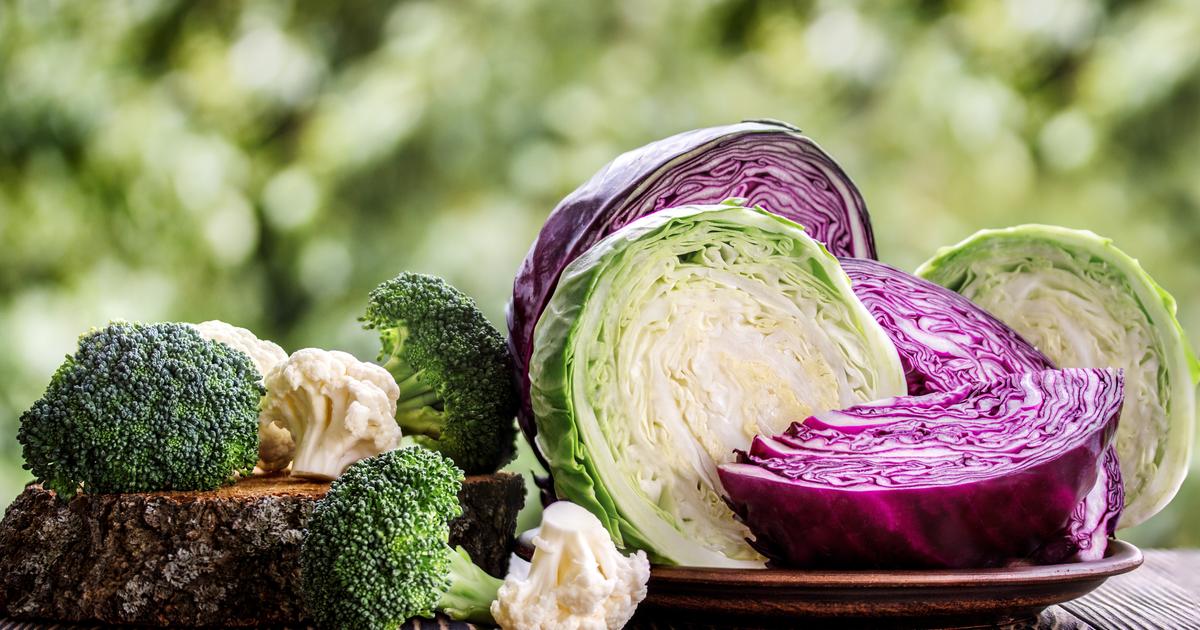 pourquoi les choux, brocolis ou radis pourraient rendre plus efficaces les immunothérapies