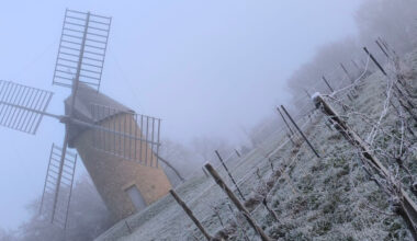 Vos photos des paysages immaculés de blanc en Sud-Gironde