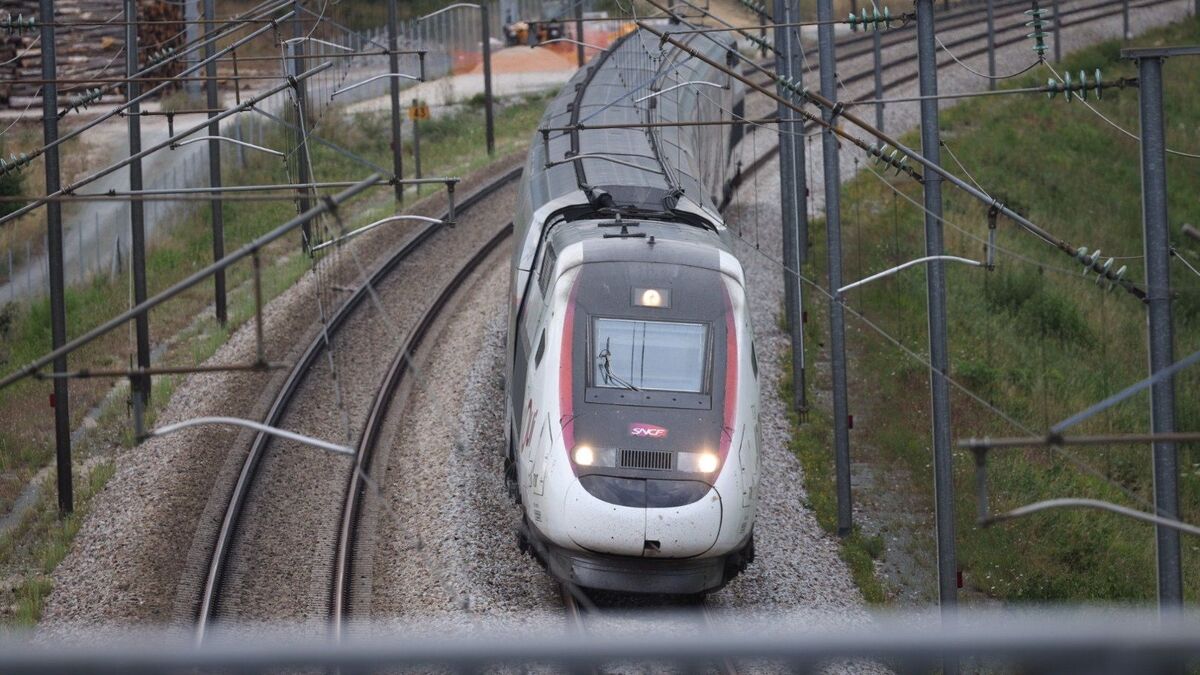 Une femme interpellée pour avoir frappé violemment son fils de 6 ans dans le TGV