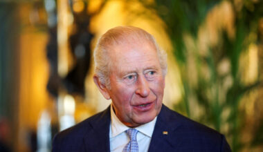 Charles III dans la Green Drawing Room, lors de la visite d'État du président allemand et de son épouse, le 3 décembre 2025.