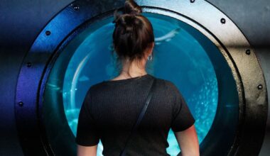 le tribunal administratif interdit les soirées festives – Libération