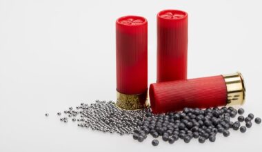 Munitions au plomb, l’Europe assouplit sa copie mais le compte à rebours est lancé