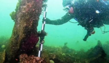 vieux de 7 000 ans, un mur géant découvert au large de l’île de Sein – Libération