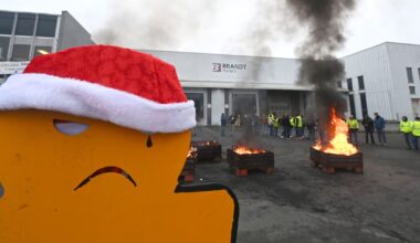 Brandt en liquidation judiciaire, plus de 700 emplois supprimés : «On a tout fait mais ça n’a pas marché, les fêtes seront tristes - Libération