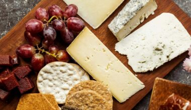 Manger des fromages gras pourrait vous aider à mieux vieillir en protégeant votre cerveau