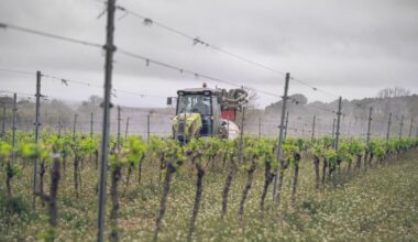 l’UE propose d’autoriser certains substances sans limite de temps – Libération