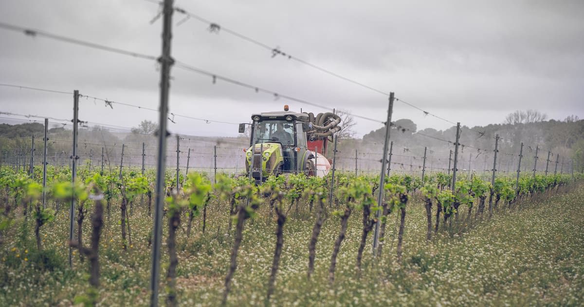l’UE propose d’autoriser certains substances sans limite de temps – Libération