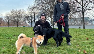 « Ça va nous changer la vie » : à Paris, les chiens tenus en laisse sont les bienvenus au parc de Bercy