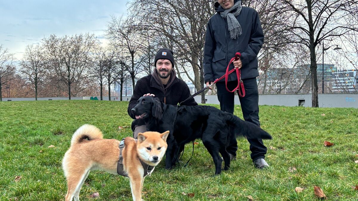 « Ça va nous changer la vie » : à Paris, les chiens tenus en laisse sont les bienvenus au parc de Bercy