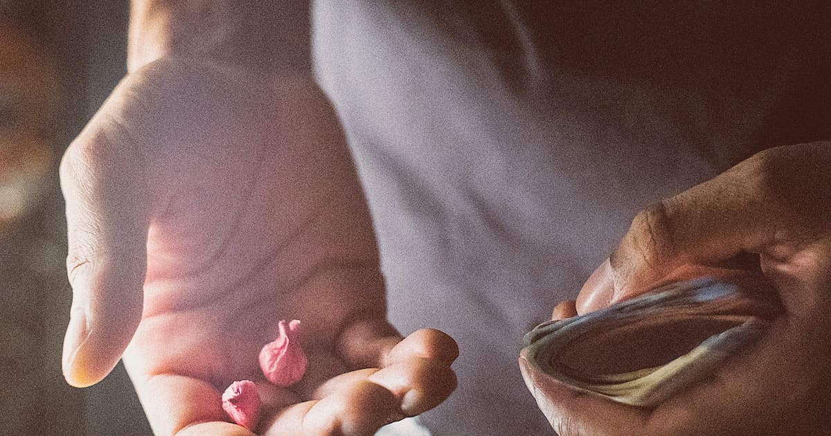 comment le narcotrafic gangrène l’entrée des jeunes dans le monde du travail – Libération