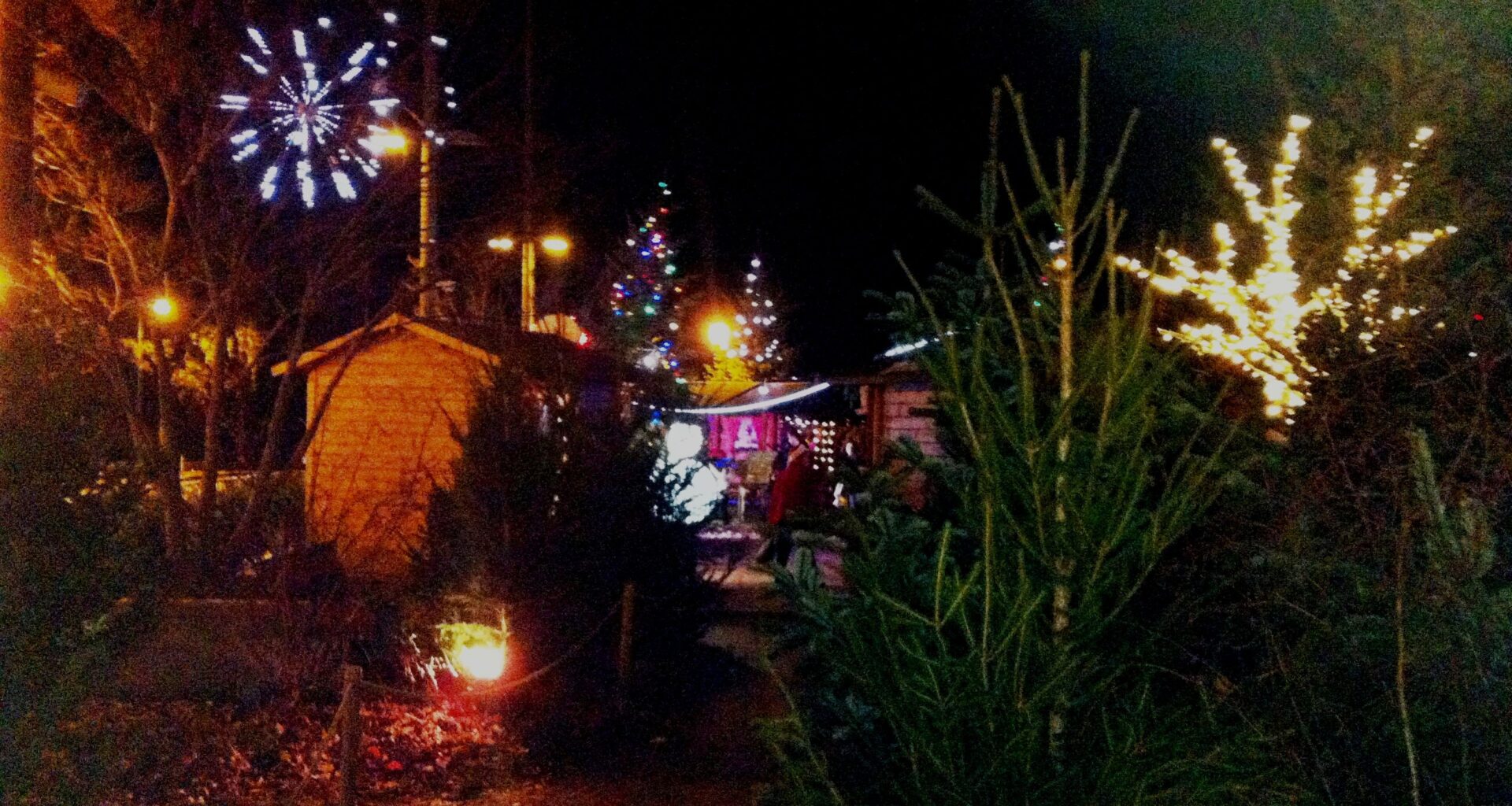 La Forêt Magique est de retour au parc Vincent Brunon