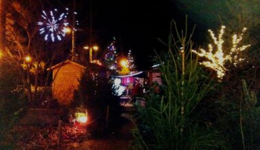 La Forêt Magique est de retour au parc Vincent Brunon