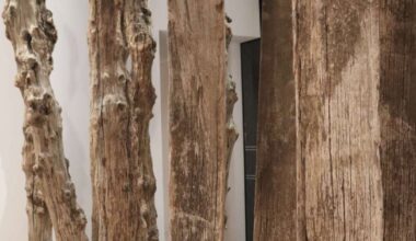 Un peu de Rennes et de Saint-Malo dans le nouveau haut lieu de la Fondation Cartier