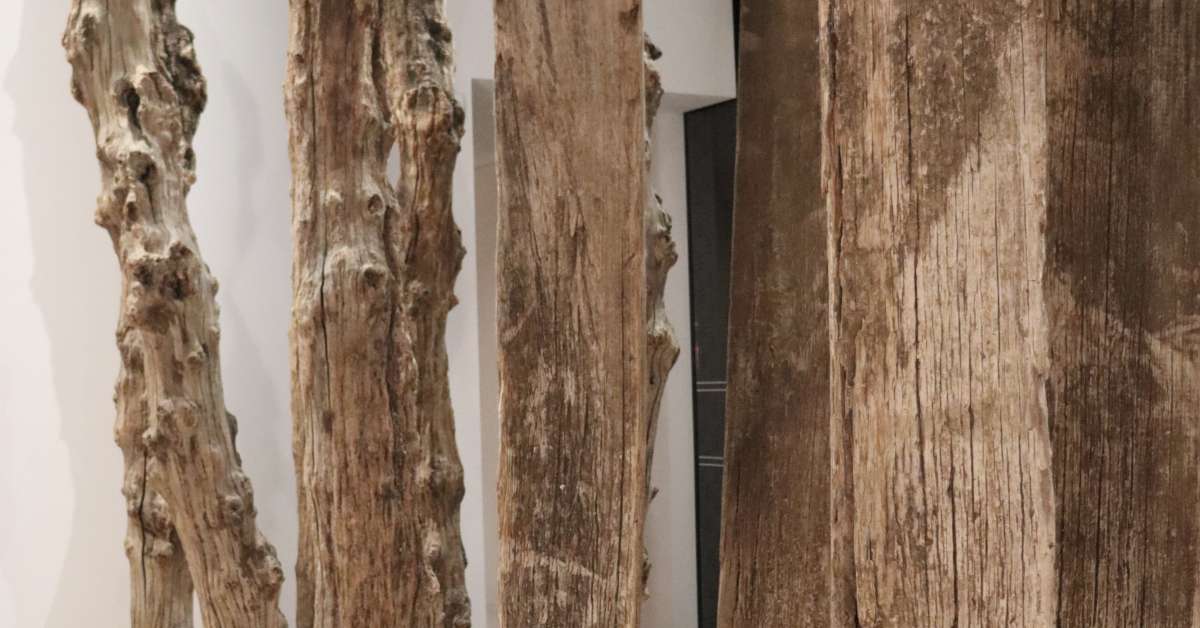 Un peu de Rennes et de Saint-Malo dans le nouveau haut lieu de la Fondation Cartier