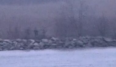 «La Russie repousse sans cesse les limites» – Libération