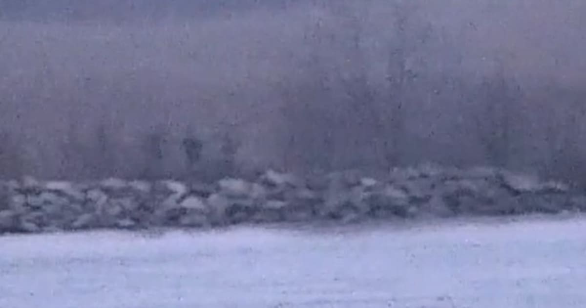 «La Russie repousse sans cesse les limites» – Libération