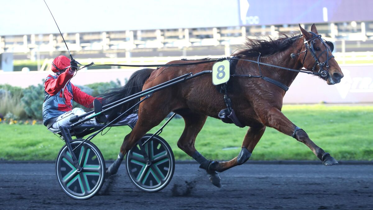 Arrivée du quinté du jeudi 25 décembre à Paris-Vincennes : Koufra Iris’Eyes en a mis plein les yeux