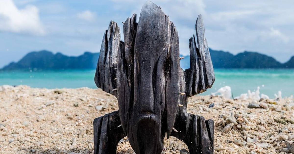 Révolution dans "Koh Lanta" : TF1 annonce son retour mais avec un changement majeur d'entrée de jeu pour les aventuriers