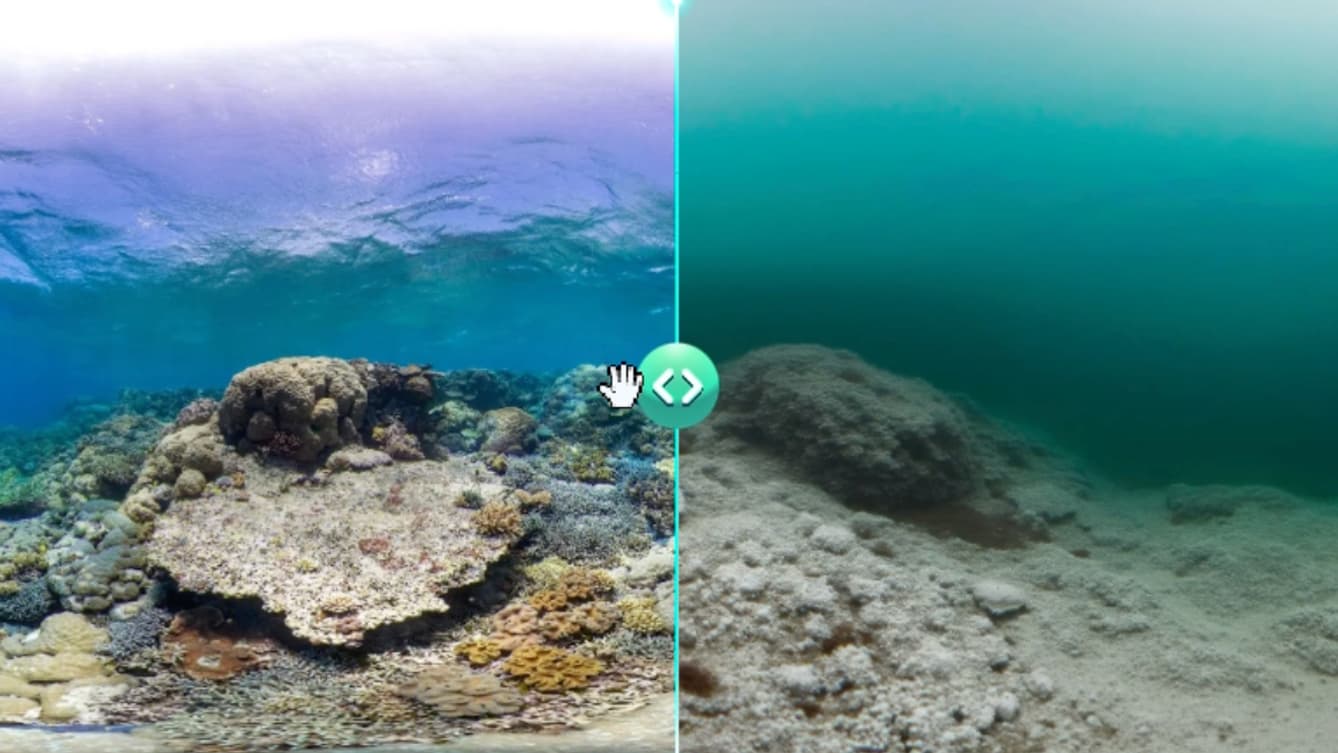 La Grande Barrière de corail maintenant VS en 2100.