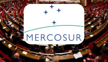 Mercosur : l’Assemblée nationale tourne une nouvelle fois le dos aux opportunités pour la France