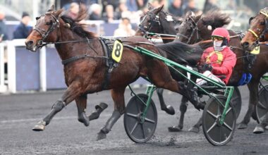 Arrivée du quinté du dimanche 14 décembre à Paris-Vincennes : l’incroyable remontada de Jean-Michel Bazire avec Jobspost