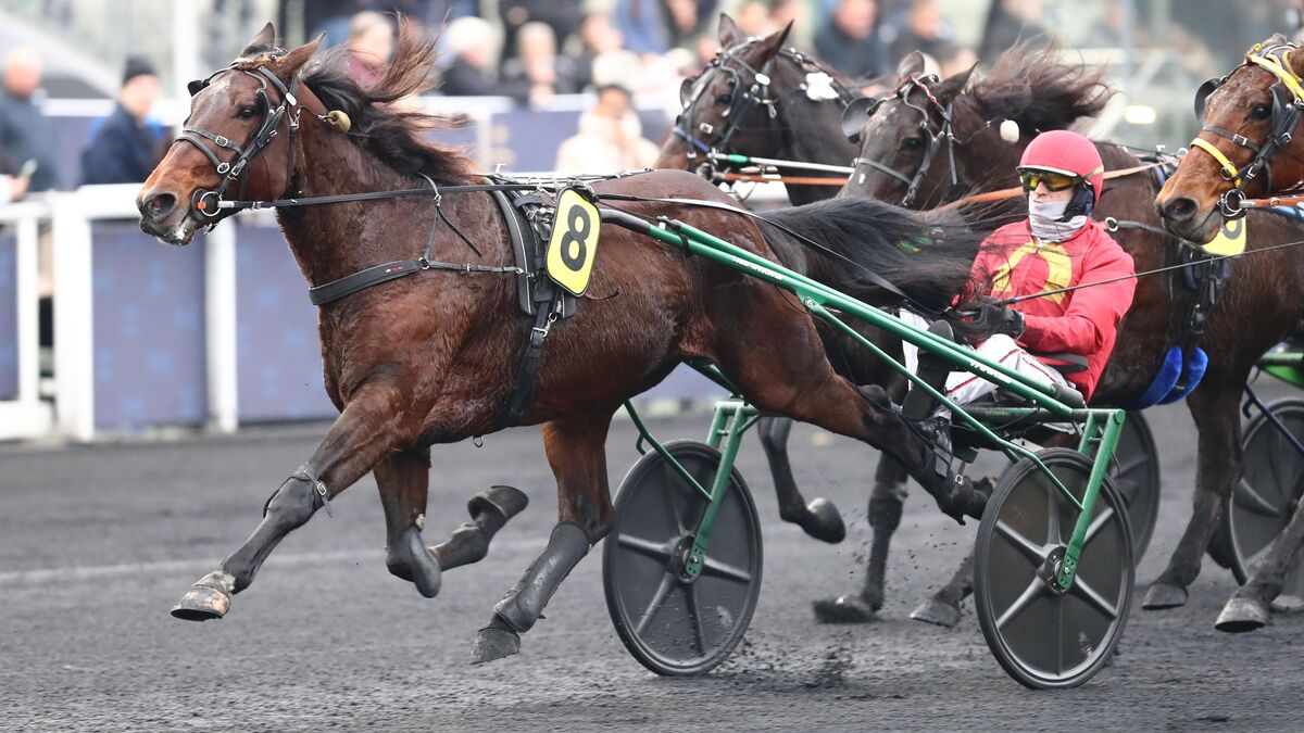 Arrivée du quinté du dimanche 14 décembre à Paris-Vincennes : l’incroyable remontada de Jean-Michel Bazire avec Jobspost