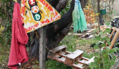 les actionnaires perdent une manche