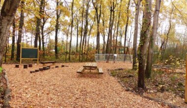 Après l’abandon d’un projet d’hôtel, ce site transformé en espace naturel près de Nantes