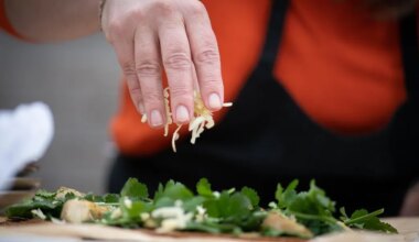 Banquet sauvage, ateliers de cuisine… Nos idées de sorties gourmandes en décembre en Bretagne