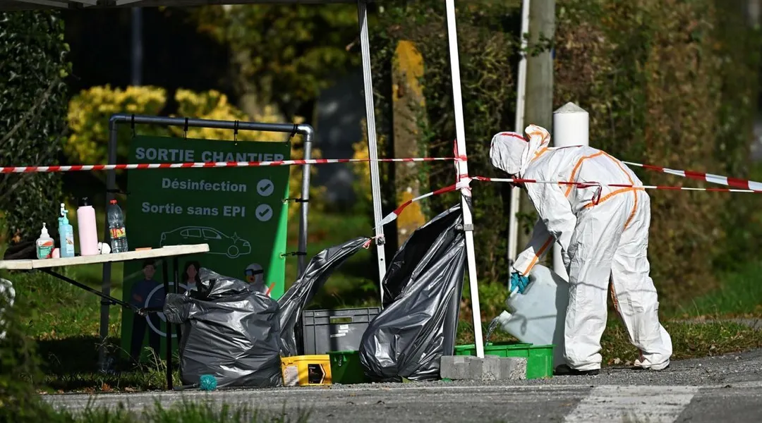 Grippe aviaire au sud de la Loire-Atlantique : la préfecture déconseille les balades au bord des