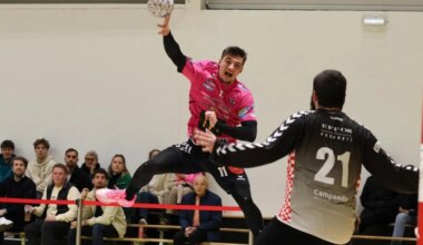 Handball. NM1 : Sud Mayenne plus que jamais leader après son succès face à Rouen . Sport