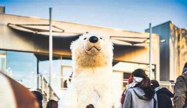 Nantes. 5 évènements à ne pas manquer pour les Fêtes !