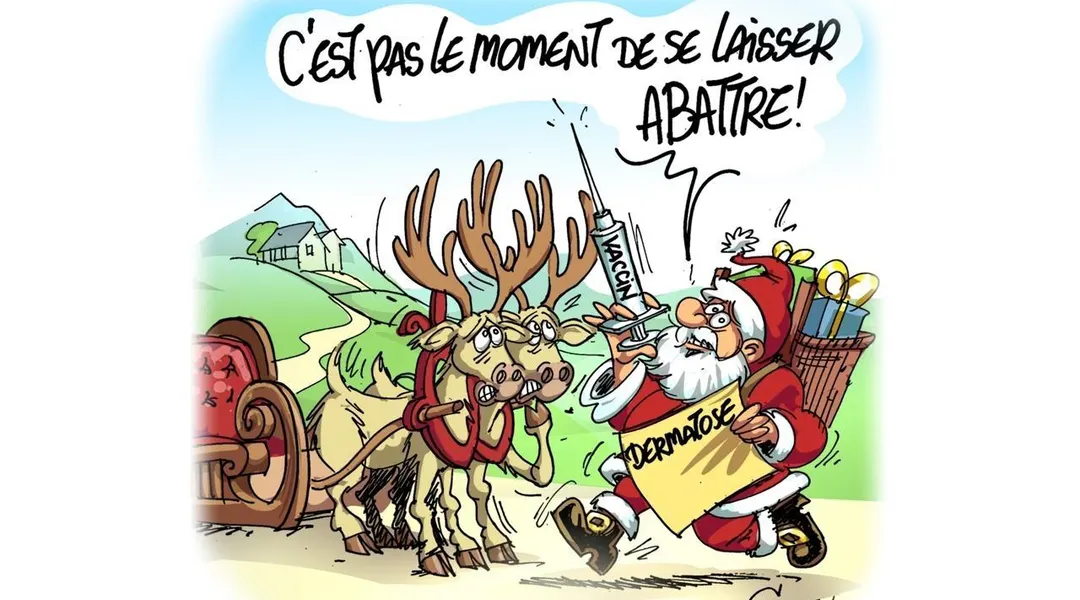 Le dessin de Chaunu : le Père Noël face à la dermatose nodulaire