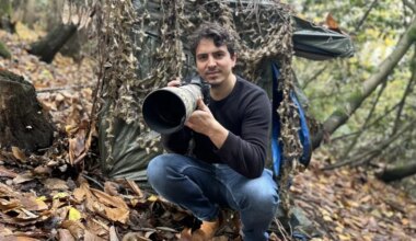Pendant deux ans, il a photographié une famille d’écureuils dans son jardin pour en faire un