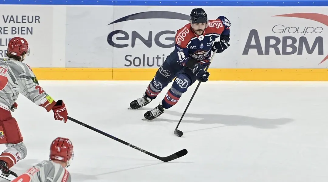 Hockey sur glace. Coupe de France : sorti par Rouen, Angers ne reverra pas Bercy . Sport