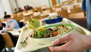 Des repas dès 80 centimes d’euros dans les cantines des collèges d’Ille-et-Vilaine