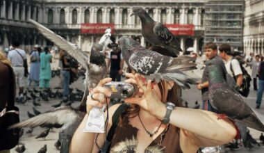 Architectural Digest France