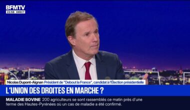 est-ce qu'on reste dans l'Union européenne ou est-ce que l'on s'en va?", déclare Nicolas Dupont-Aignan, président de "Debout la France"