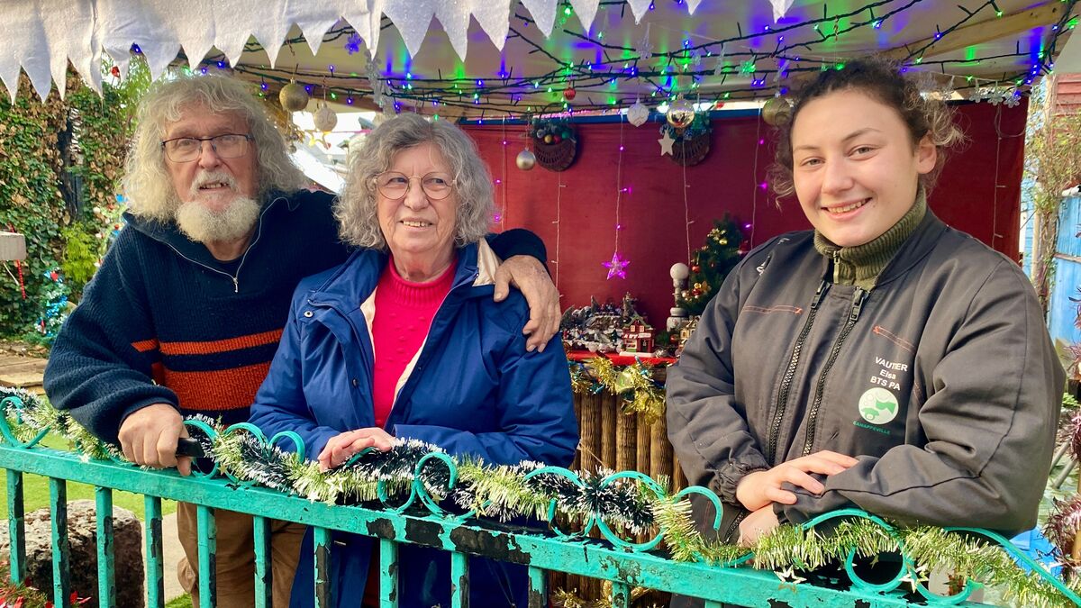 « C’était mort » : en Seine-Maritime, un élan de générosité sauve le jardin de Noël d’un couple de retraités