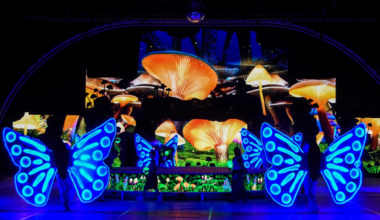 Nos idées sorties du week-end des 19, 20 et 21 décembre 2025 dans la Loire