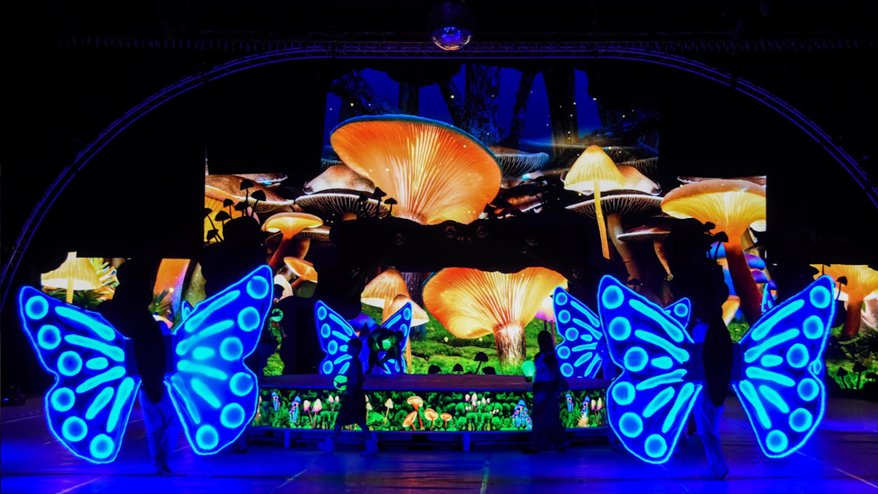 Nos idées sorties du week-end des 19, 20 et 21 décembre 2025 dans la Loire