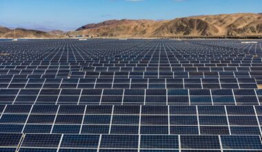 L’UE freinée dans ses objectifs solaires par sa stratégie sans Chine | Montel News