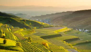 Succès des vacances "coolcation": l'Allemagne s'invite dans le top 5 des destinations préférées des Belges, "la langue reste parfois une barrière"