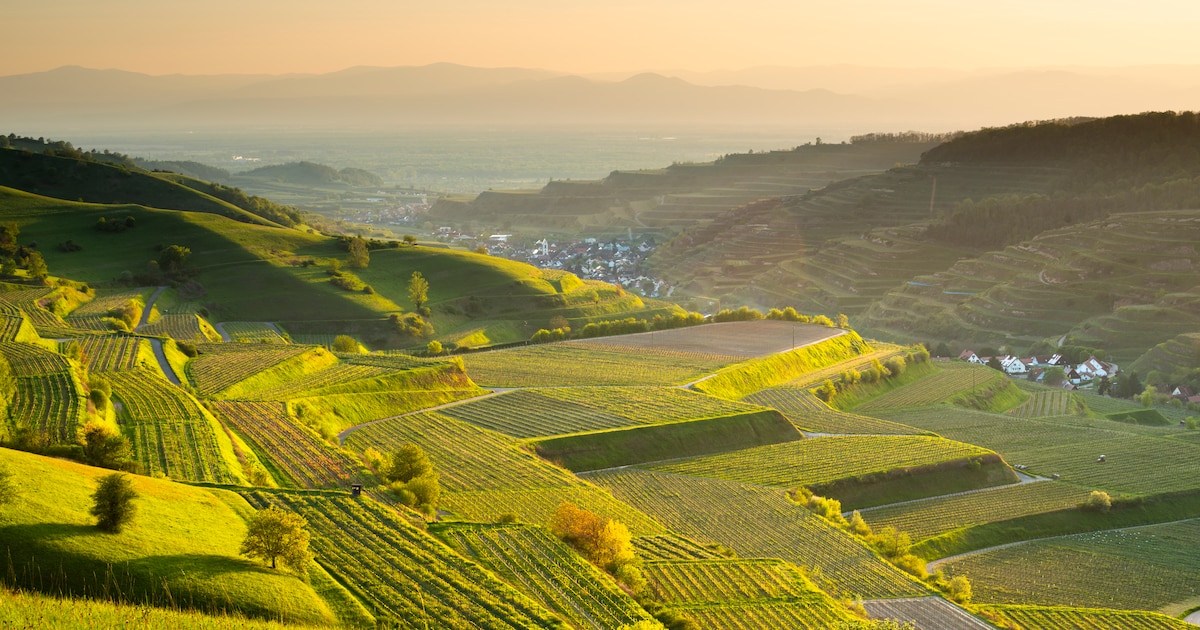 Succès des vacances "coolcation": l'Allemagne s'invite dans le top 5 des destinations préférées des Belges, "la langue reste parfois une barrière"