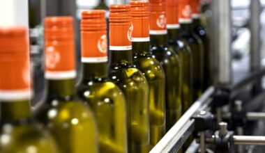 Près de Nantes, Castel-Vins se dote d’une unité de désalcoolisation du vin au procédé unique en Europe